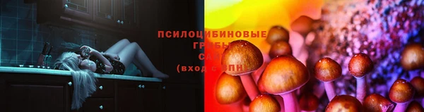 стафф Бронницы