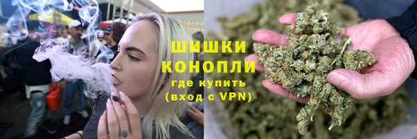 сатива Богданович